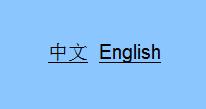 1.4 Language selection 1 Media Click either Chinese or English to change the language of the menu. 1.1 Video Setup Click "Video".