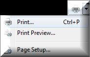 For Quick print option: Select the Print icon Hibernate This option copies your work to the hard drive and then turn off the PC.
