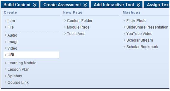 Table of Contents Instructors can customize the hierarchical view of the Learning Module by editing the display of the lettering/numbering of the items and to show or hide items that are displayed in