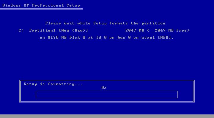 The system formats the partition, as shown in the following screens.