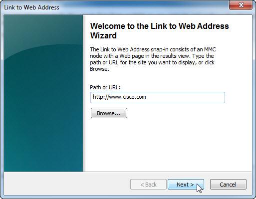 e. The Link to Web Address wizard opens.