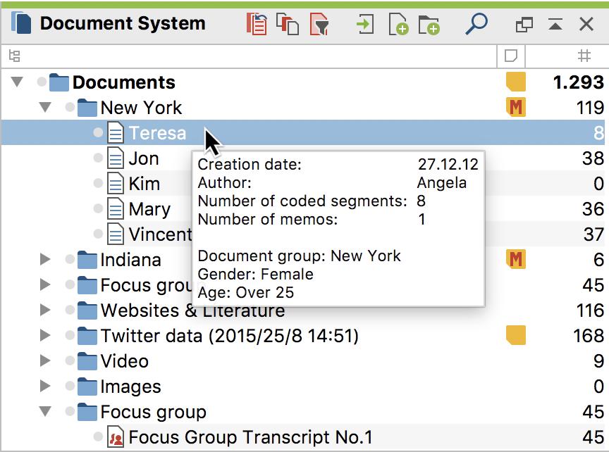 Tooltip display of variable value in a document The variable value will also be displayed in