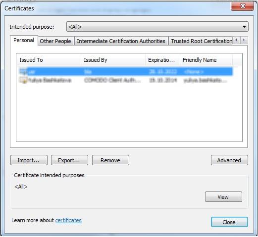 Manage Certificates Opens the Windows SSL certificate store.