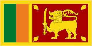 Sri Lanka Stats Total population: 20,905,335 ( 21 million) Total internet users: 6,087,164 ( 6 million ) Internet penetration: 29.