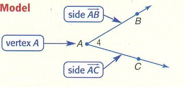 Angle- The intersection of two noncollinear rays at a common endpoint.