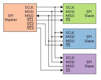 SPI (Serial Peripheral Interface Bus) Two examples of bus configurations: Master and multiple independent slaves http://upload.wikimedia.