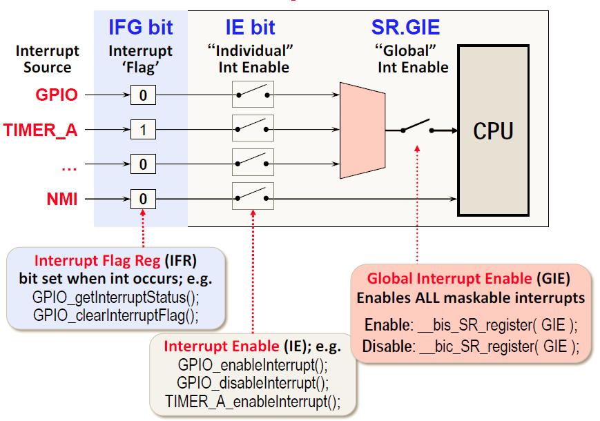 Processing of an Interrupt Detailed interrupt processing flow: get the interrupt status of the selected pin globally allow / disallow the processor to react to interrupts (IFG) clears the interrupt
