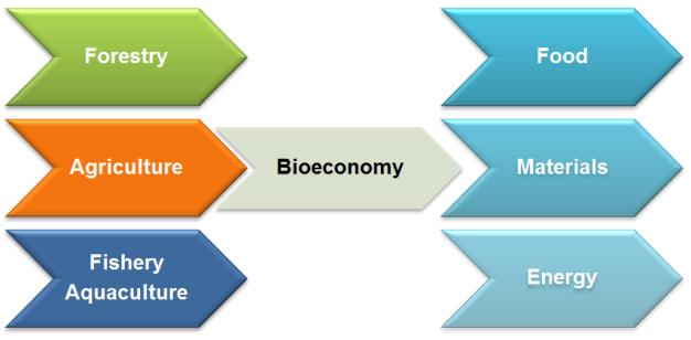 CASE STUDY: DataBio Production of best possible raw materials from agriculture, forestry and fishery for the Bioeconomy industry to produce food,