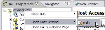 This section will teach you how to customize a host screen using HATS. A screen customization is designed to perform a set of actions when a host screen is recognized.