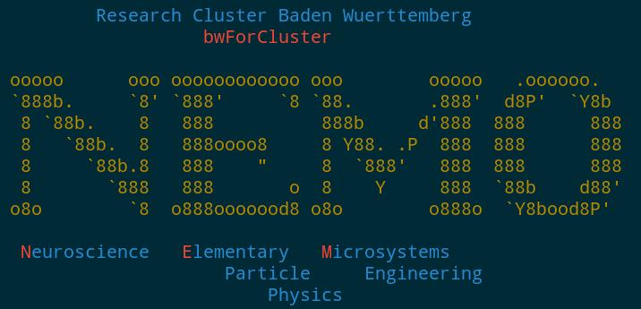 bwforcluster HPC center NEMO Shared by 3 communities in Baden-Württemberg: Elementary Particle Physics, Neuroscience, Microsystems engineering 752 worker nodes, each with 2 10 cores 128 GB RAM 100