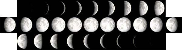 EN The main purpose is the active of most animals have a relation with the moon phase. This information is helpful to search the animals.