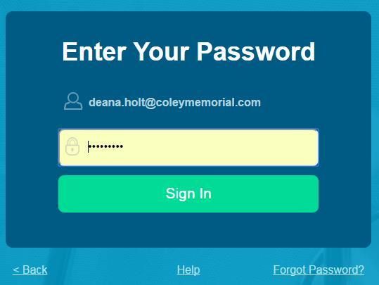 The password field is case sensitive. 3. Click Sign In to complete the login process.