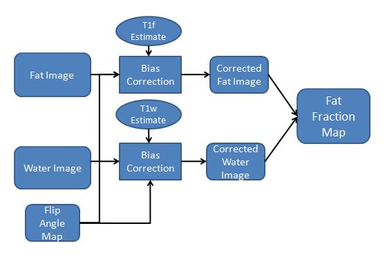 FIG 4. Flow chart of bias correction algorithm.