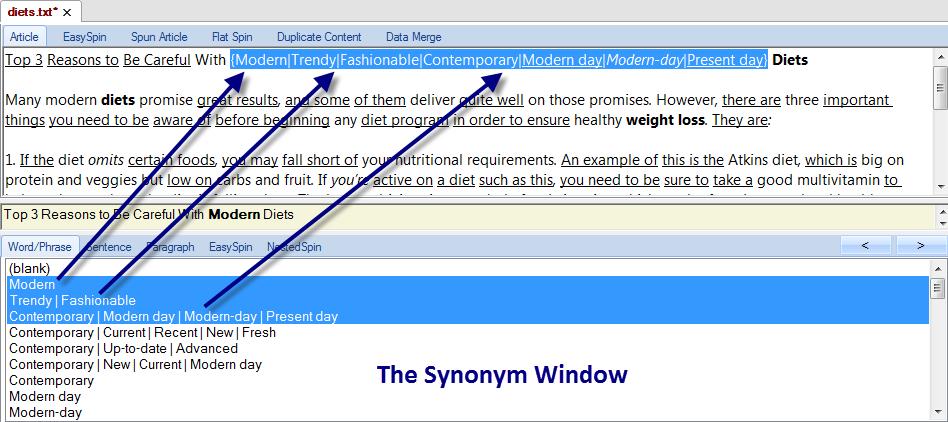 Mastering the Synonym Window The Synonym Window is probably the most important window in the software, as this is where most of the manual spinning functions are located.