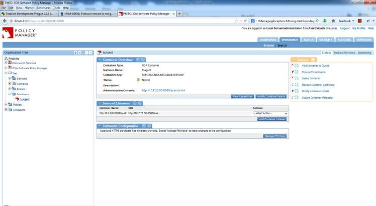 is now successfully registered in the "Management Console" and the Container Details screen displays.
