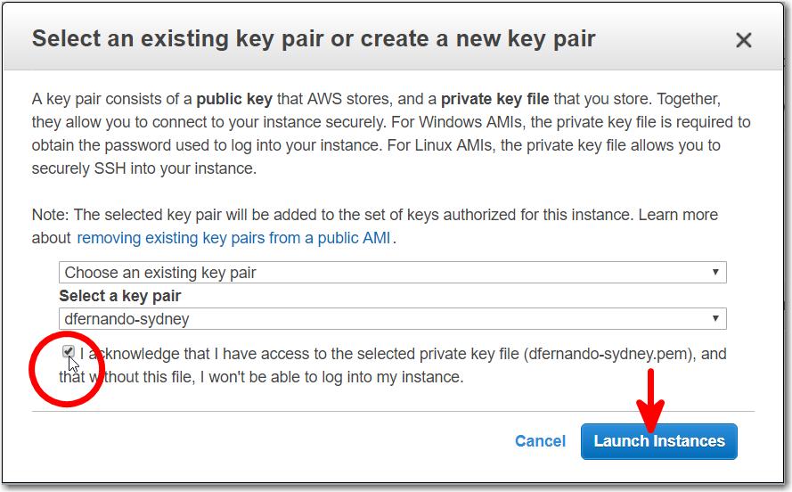 13. Select an existing keypair or create a new key pair, select the checkbox, and click Launch Instances.