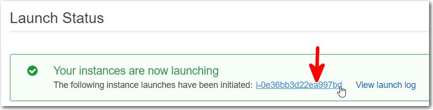 To view the instance launch on the EC2 Dashboard, click the instance ID link. a. Enter a Name. b.