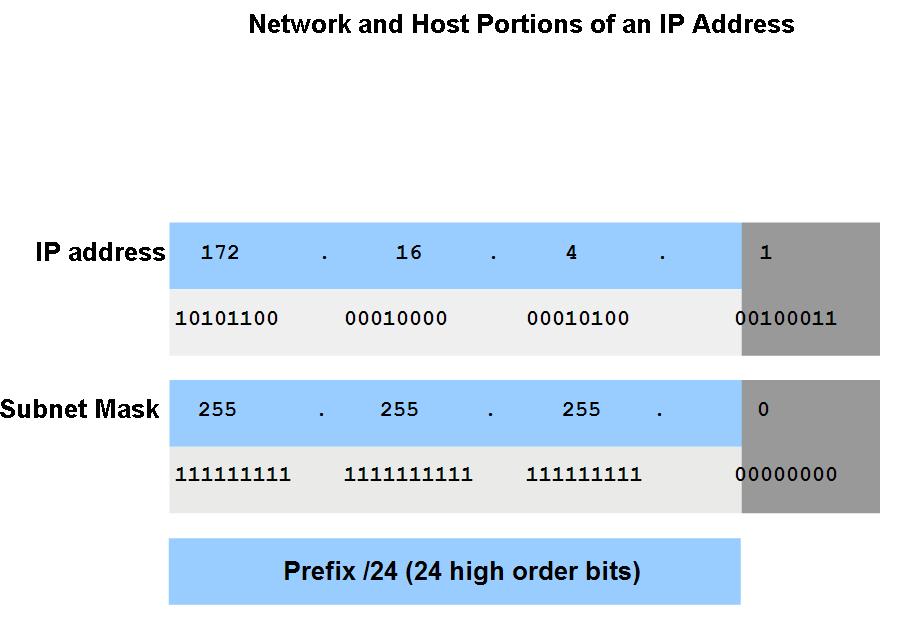Determine the network portion of the host address and the role of the subnet mask Describe how