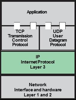 IP Flows Dynamic path