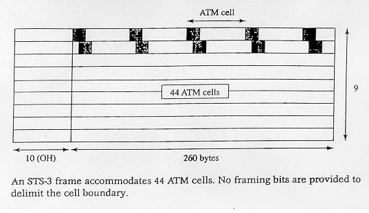 ATM Cells in an