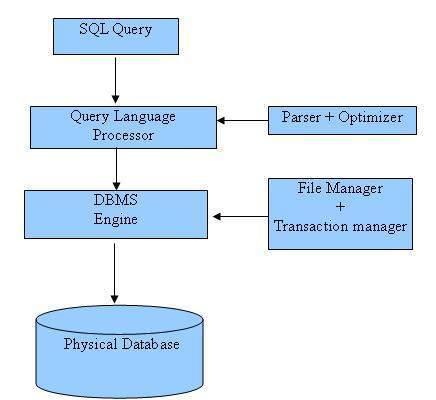 Chapter-14 SQL COMMANDS What is SQL? Structured Query Language and it helps to make practice on SQL commands which provides immediate results.