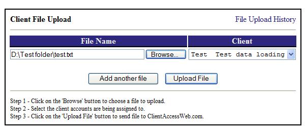 If your office has multiple Client IDs available, make sure to select the correct Client ID in the drop-down box that this file is referencing. To add multiple files click the Add another file button.
