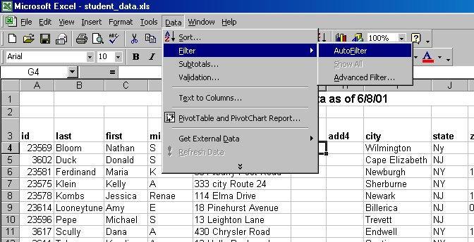 Filtering in Excel Filtering asks Excel to display only some of your Excel records, based on criteria set by you. The records are not removed, just hidden until you choose to display them again. 1.