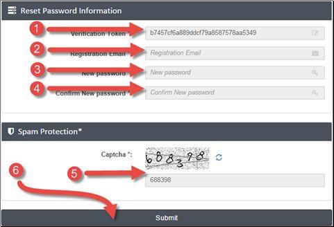 When the new page opens, you will see a form just like the one below. Image 5: Password Reset 1. Right click with your mouse and choose paste. 2.
