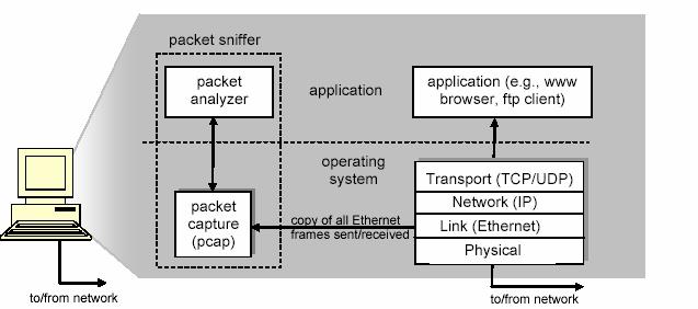 Packet Sniffer Structure Wayne State