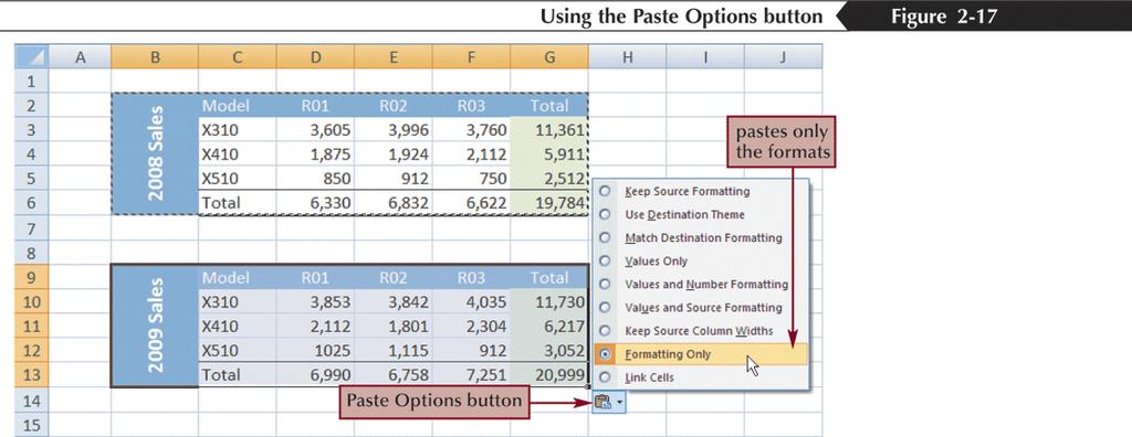 Copying Formats with the Paste Options Button