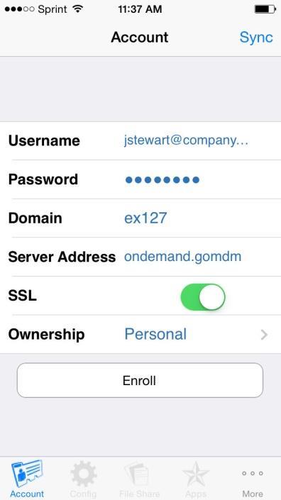 STEP 2: Enter your user credentials via one of the following processes: Enter your Username and Password. Enter the Domain.