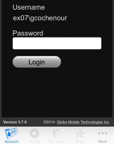 Enter the Username and Password by which the service identifies you, then tap Login.