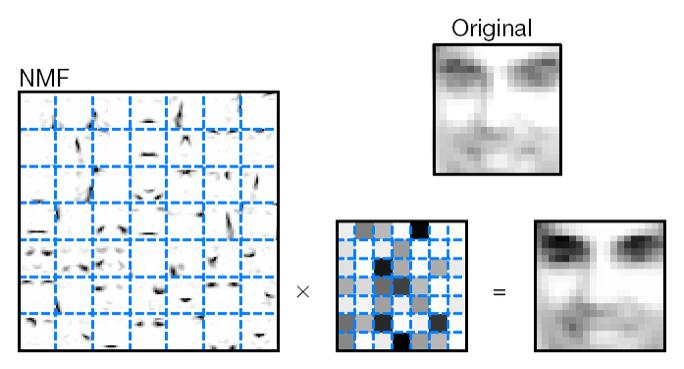 Non-negative matrix factorization Trained on 2,429 faces Like PCA, except the