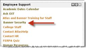 is a Web Form designed for Supervisors to submit Banner Access Requests for their employees.