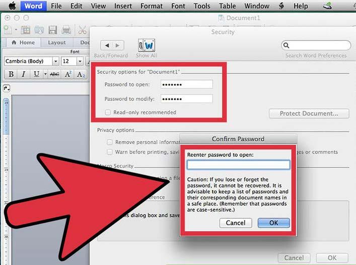 3. Create your password. In the Password to open field, type in your password and then click OK.