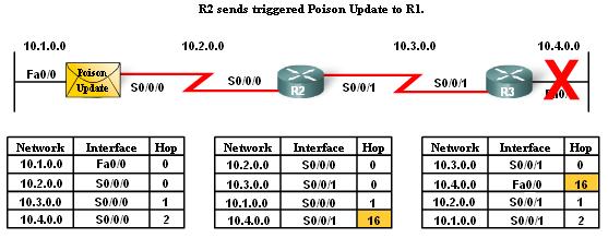 * What is the definition of route poisoning and how does it work? * What is the purpose of TTL? How does it work to prevent loop on a network?