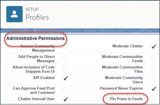 Assign Post Pinning Permission (Beta) If necessary, assign the permission set. You can assign permission sets to a single user from the user detail page.