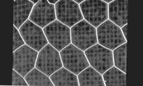 mesh structure can be visualised and analysed through material