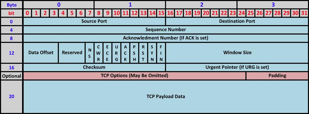 options are present in the IP header and TCP header, And given the following frame with an encapsulated IP datagram and TCP segment: 58 40 38 F9 B7 3B E7 E3 0C 51 77 4F 08 00
