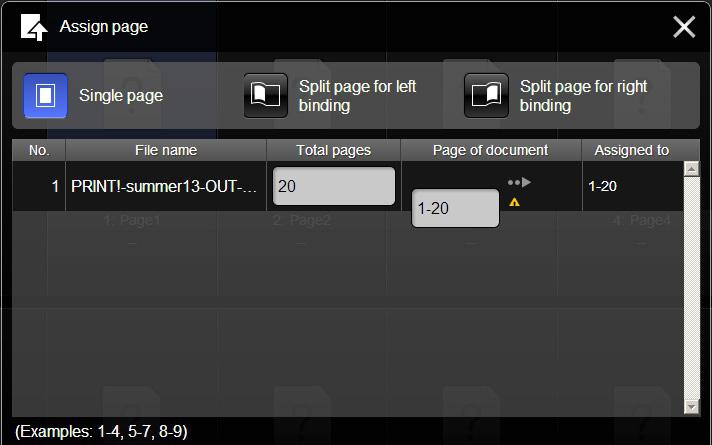 Assign Pages Whichever method you use, once you have selected the file to upload you will see the Assign page window shown below.