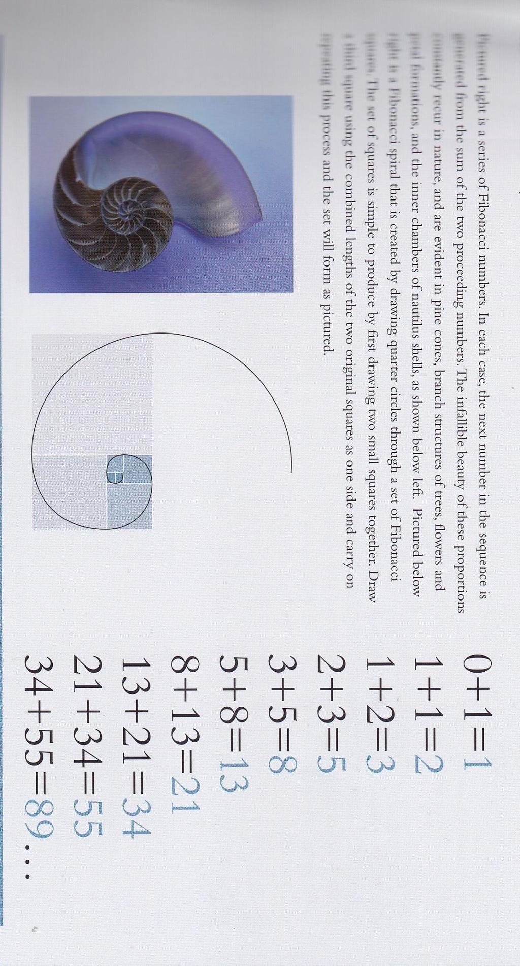 TYPOGRAPHY BASIC DESIGN Golden Section The Fibonacci sequence Is a