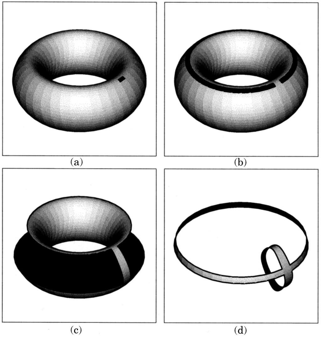102 G. Taubin and J. Rossignac Fig. 7. Surfaces topologically equivalent to the result of cutting a torus through the vertices of the vertex tree.