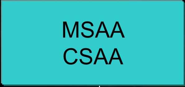 Interconnect MSAA CSAA FP & FP32 Support