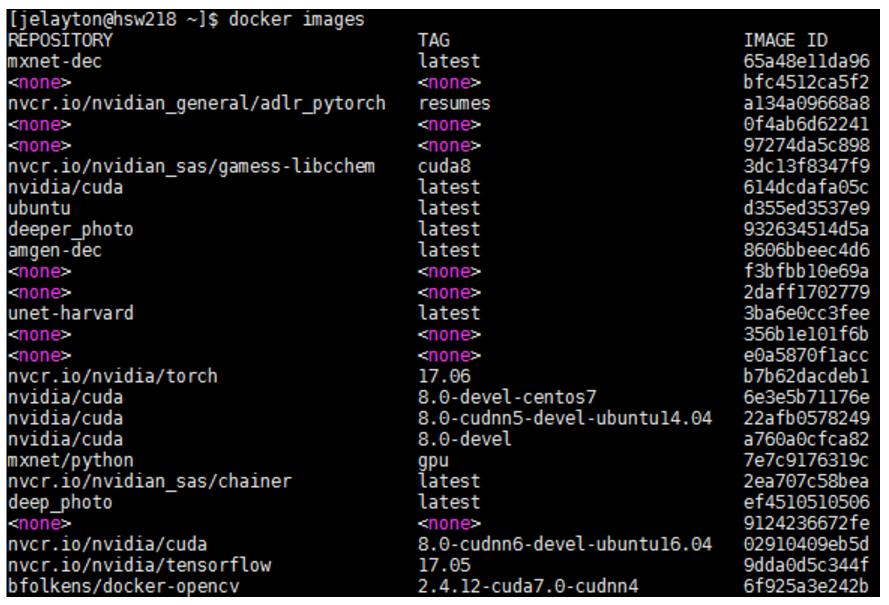 Docker Best Practices with NVIDIA Containers Figure 9 Confirming the image is removed from