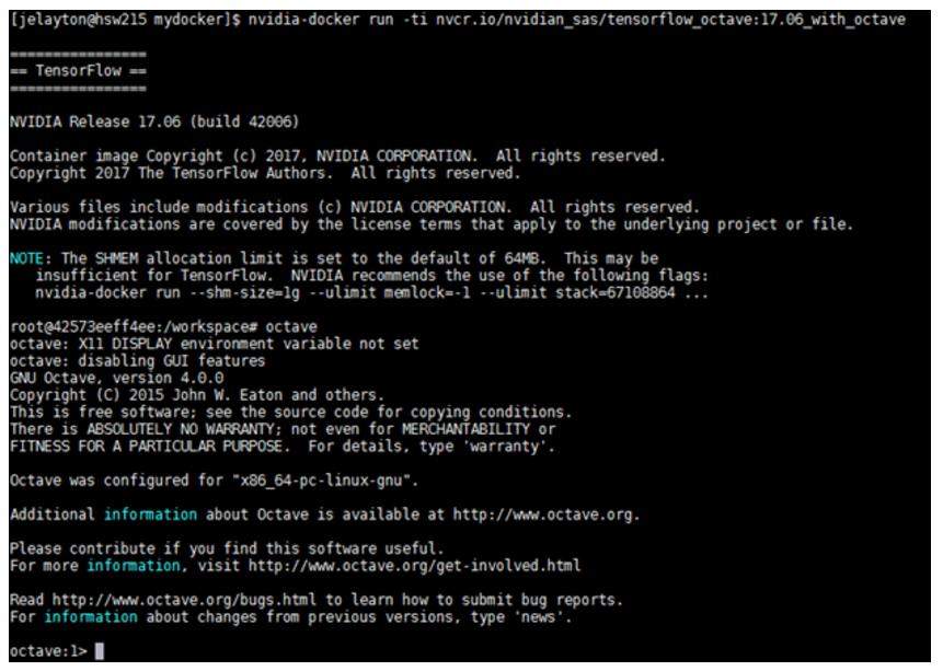 Docker Best Practices Figure 17 Example of using nvidia-docker to pull container Notice that the octave prompt came up so it is installed and functioning correctly within the limits of this testing.