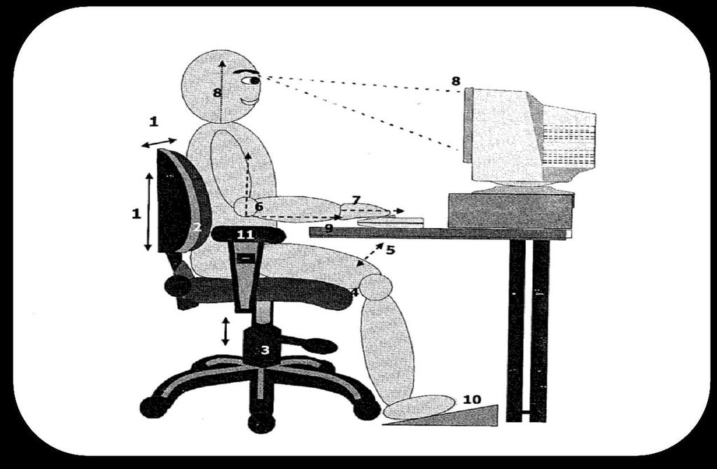 Ideal seated position for DSE Users. 1. The seat rest should be adjusted so the user is sitting upright. 2. Good lumbar support should be achieved (i.e. the lower back should be supported) 3.
