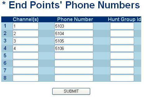 19. Click End Point s Phone Number. End Points Phone Numbers page 20. Enter the User ID (starting with 5) you noted earlier as the Phone Number for each Channel. Click Submit. 21.
