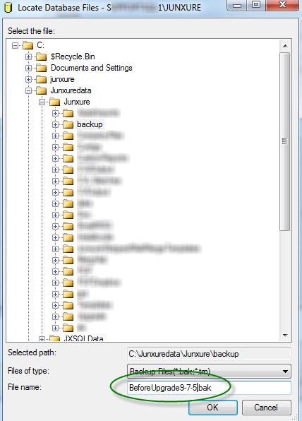 3. Navigate through the local server drives and folders and select the location where you wish to store the backup.