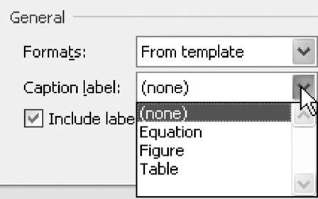 5/18/2011 Word 2010: Preparing Your Dissertation 3. In the Table of Figures dialog box Check Show page numbers Check Right align page numbers Uncheck Use hyperlinks Tab leader = dot (...) 4.