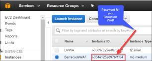 Exercise 2: Conﬁgure the Barracuda WAF Virtual Appliance and the DVWA Application In this exercise, the Barracuda WAF Appliance and the DVWA will be